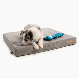 COPY OF Custom mattress for dog or cat - Master