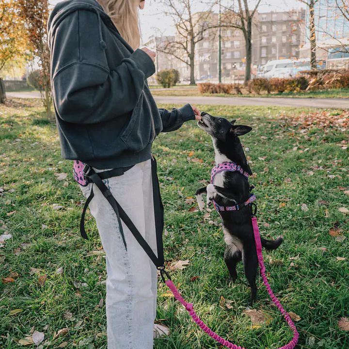 Pas do biegania / pas biodrowy - Master