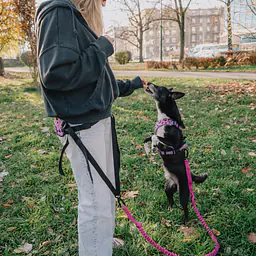 Pas do biegania / pas biodrowy - Master