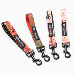 Breloczek "Pies, który lata najlepsze ma za sobą" - Master