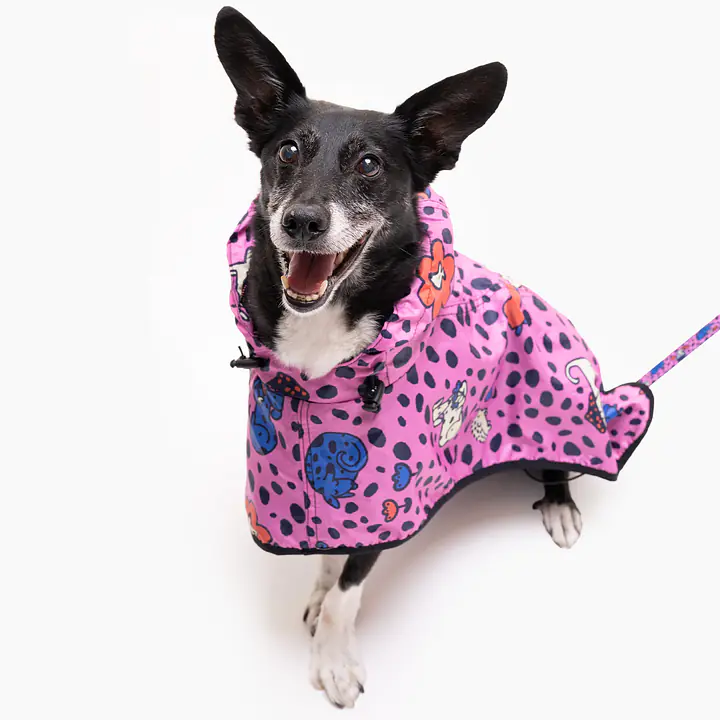 Płaszcz przeciwdeszczowy - Master