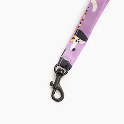 Płaszcz przeciwdeszczowy - Master