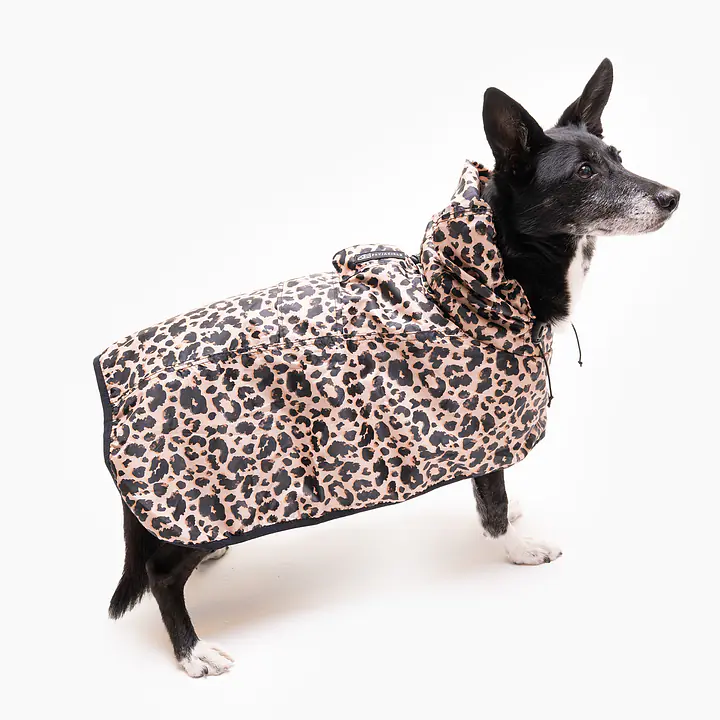 Płaszcz przeciwdeszczowy - Master