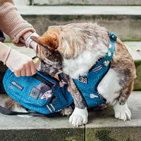 Nerka spacerowa  "Psutomaki" - Master