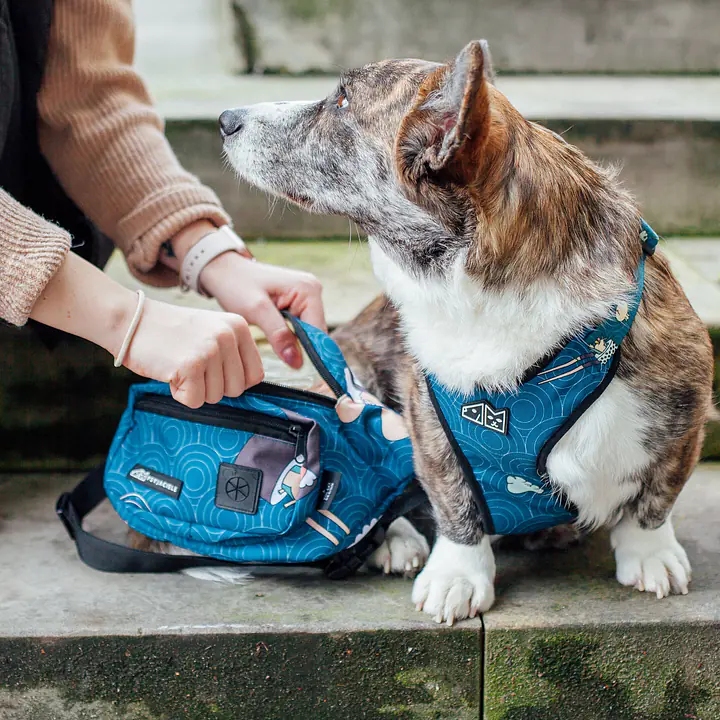 Nerka spacerowa  "Psutomaki" - Master