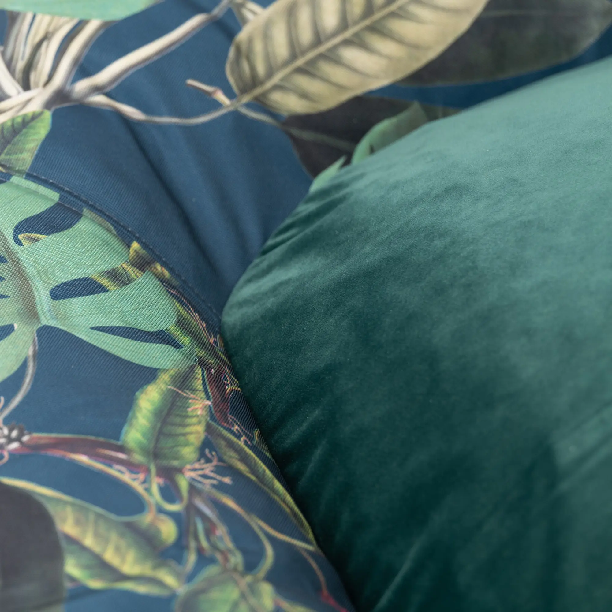 Pontoon "Dogollage" - Master