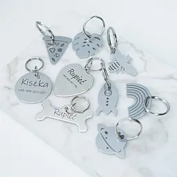 ID tag for dog BEE - Master