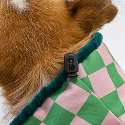 Kurtka jesienno-zimowa - Master