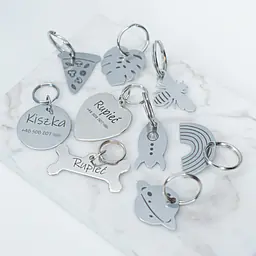 ID tag for dog PIZZA - Master