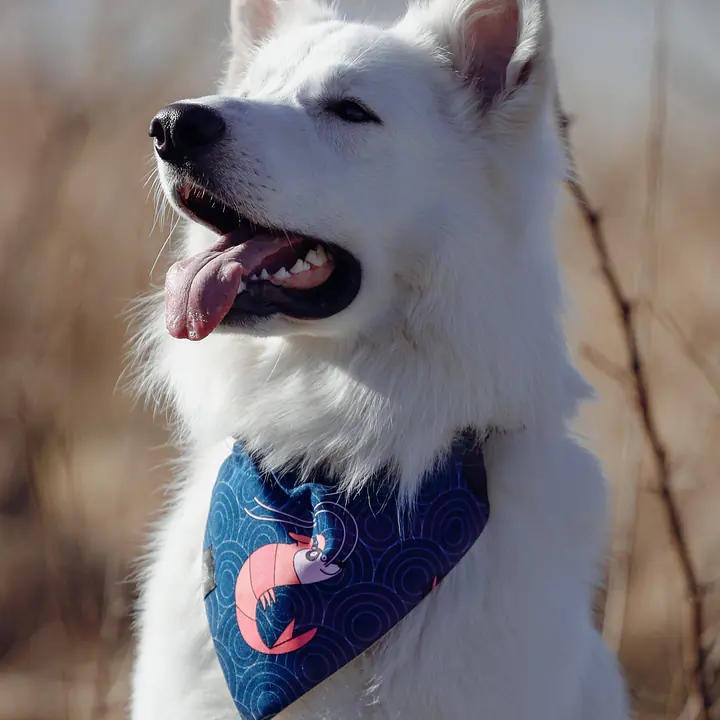 Bandana zakładana na obrożę - Wzór: Psutomaki, Rozmiar: XS