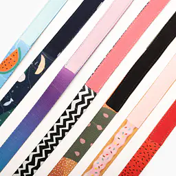 COPY OF "Doggomaki" city leash - Master