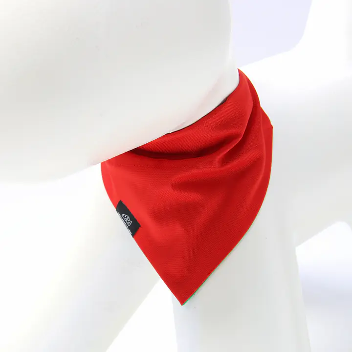 Bandana zakładana na obrożę - Wzór: Zawstydzona biel, Rozmiar: XS
