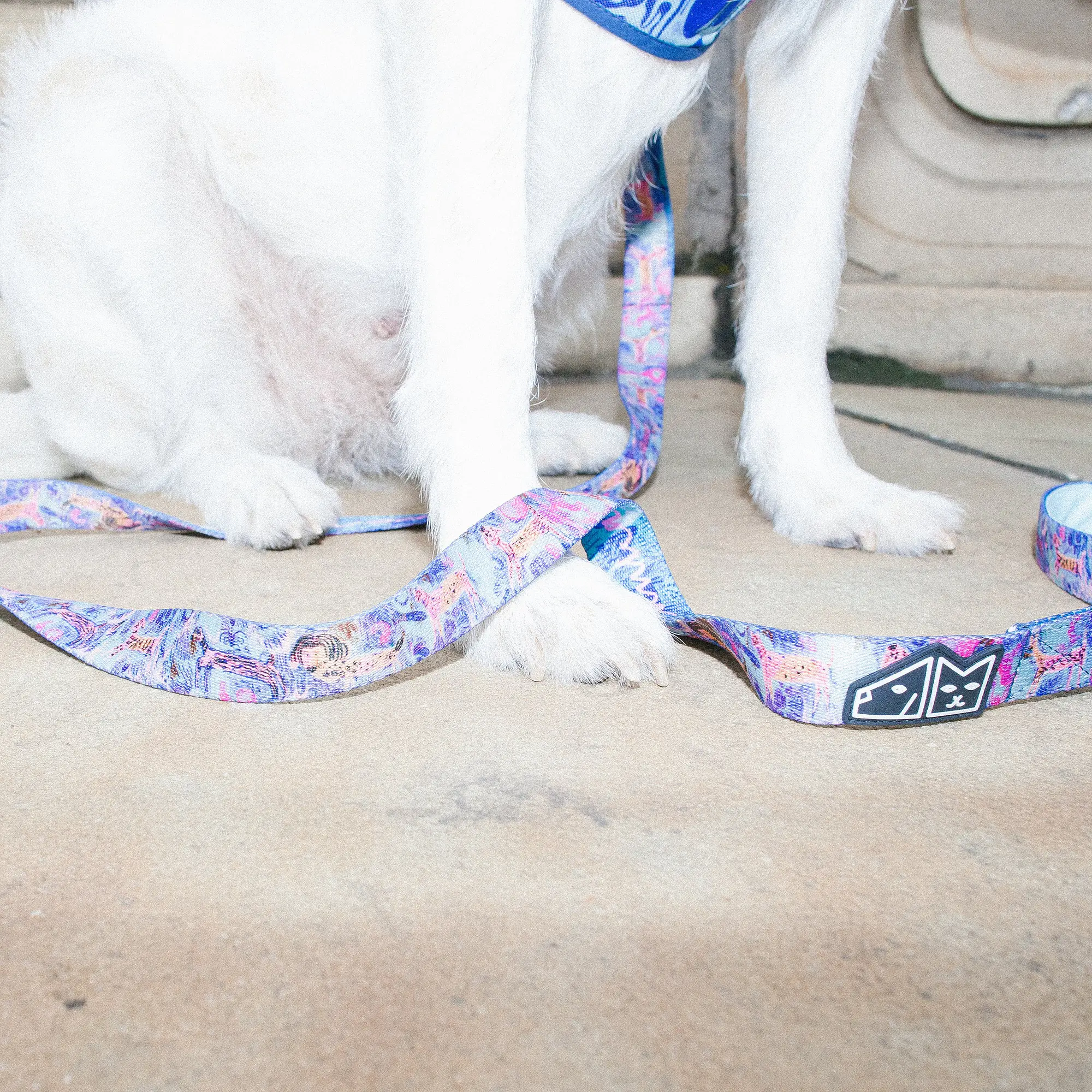 COPY OF "Psychofan" city leash - Master