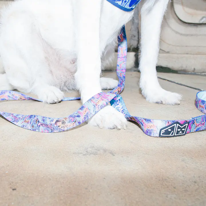 COPY OF "Psychofan" city leash - Master