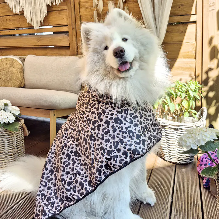 Dog raincoat - Master