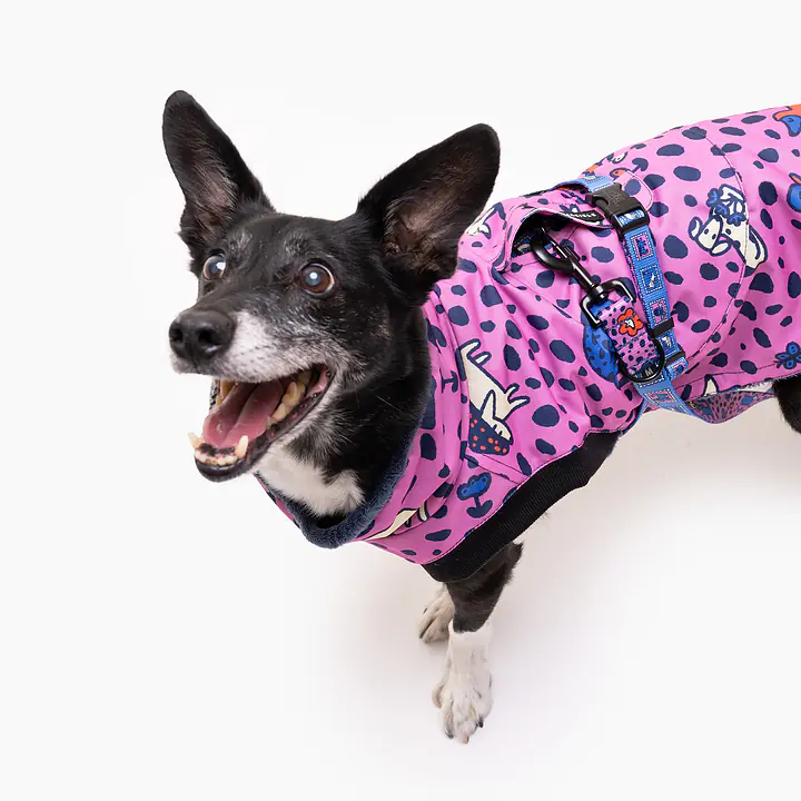 Kurtka jesienno-zimowa - Master