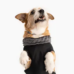 Kurtka jesienno-zimowa - Master