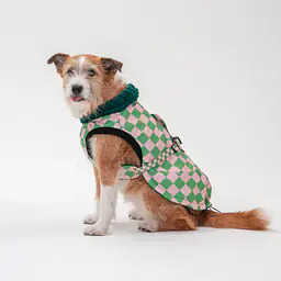 Kurtka jesienno-zimowa - Master