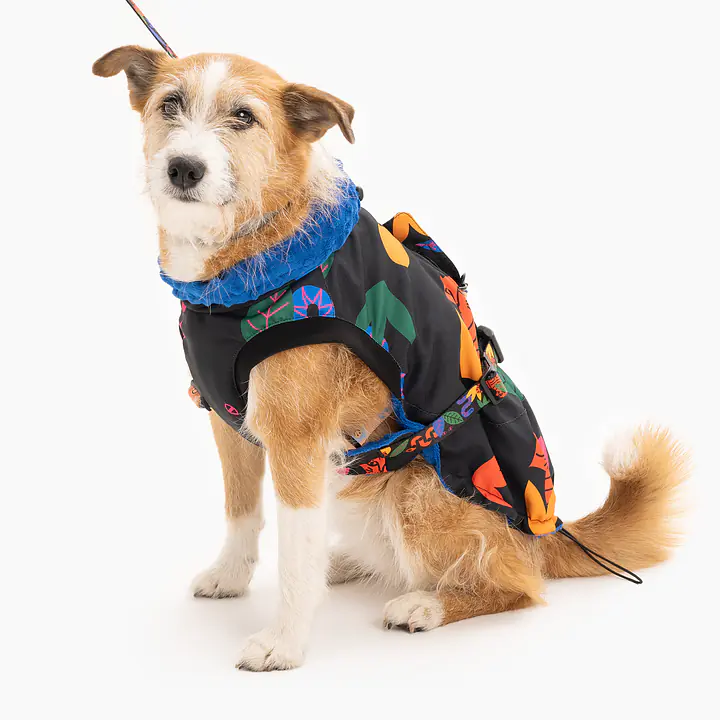 Kurtka jesienno-zimowa - Master