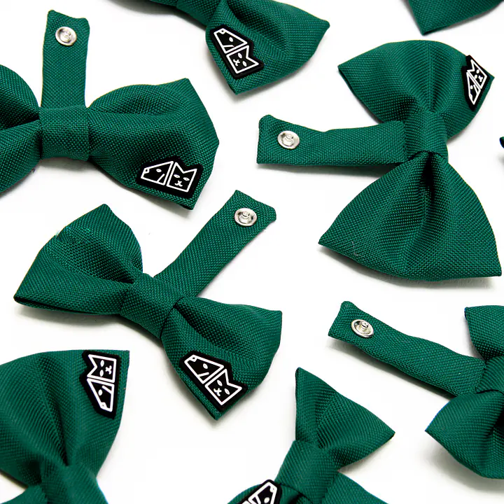 Muszka zapinana na obroży lub szelkach - Master