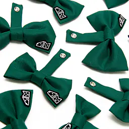 Muszka zapinana na obroży lub szelkach - Master