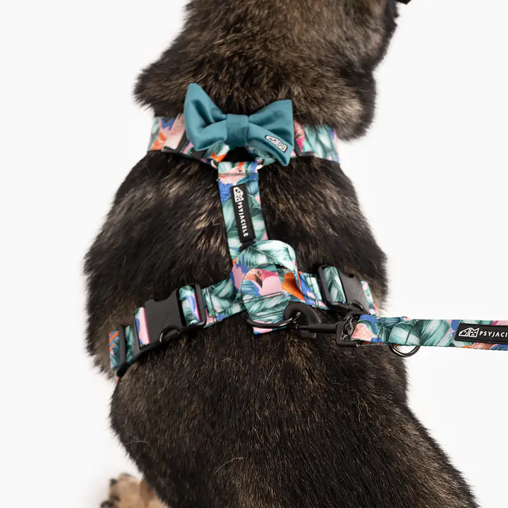 Muszka zapinana na obroży lub szelkach - Master