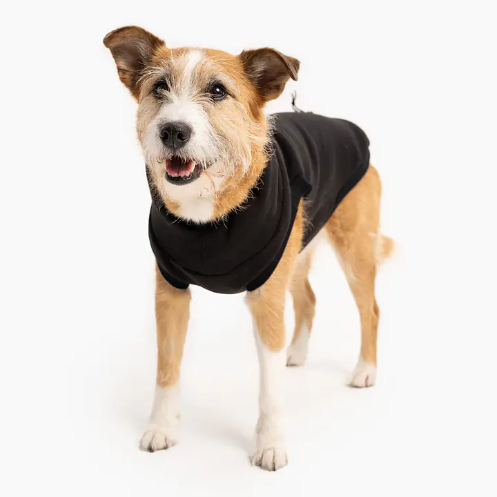 Haftowana bluza - Master