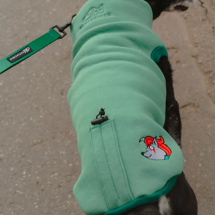 Haftowana bluza - Master