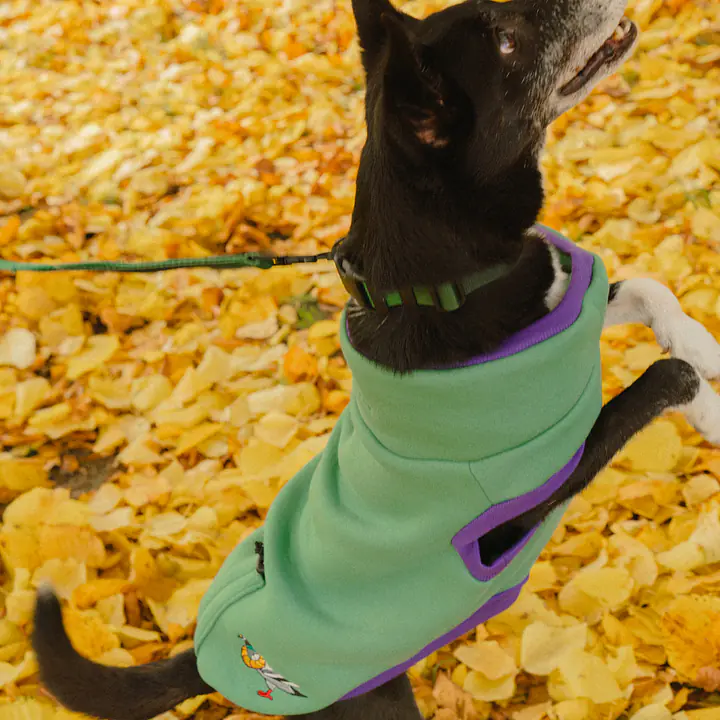 Haftowana bluza - Master