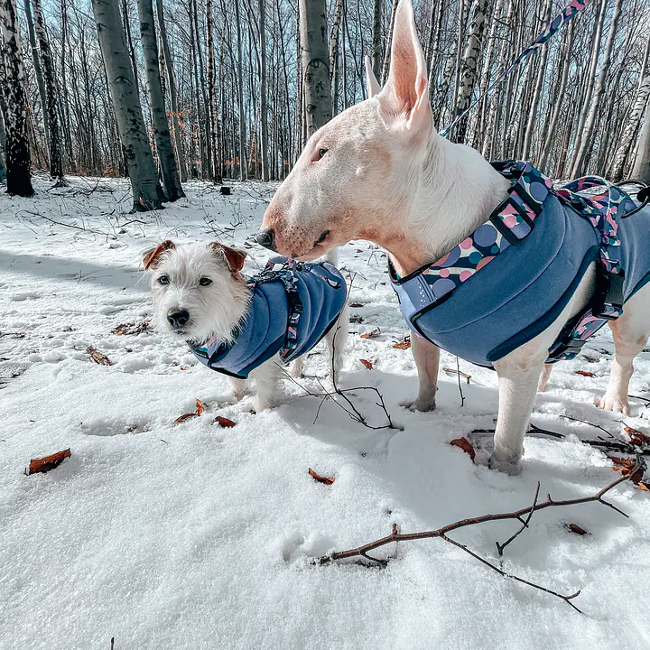 Haftowana bluza - Master