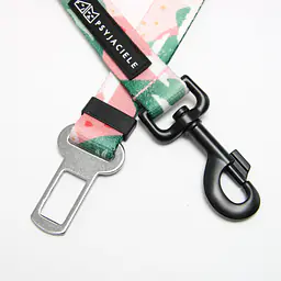 Car belt "No drama lama" - Master