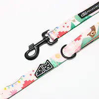 City leash "No drama lama" - Master