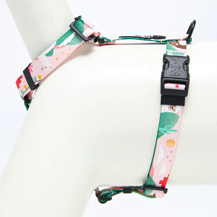 Szelki dla psa lub kota typu guard "Więcej niż jedno zwierzę" - Master