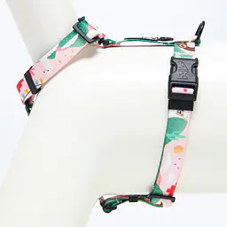 Szelki dla psa lub kota typu guard "Więcej niż jedno zwierzę" - Master