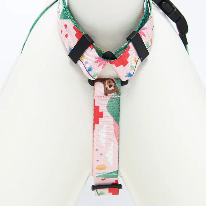 Szelki dla psa lub kota typu guard "Więcej niż jedno zwierzę" - Master