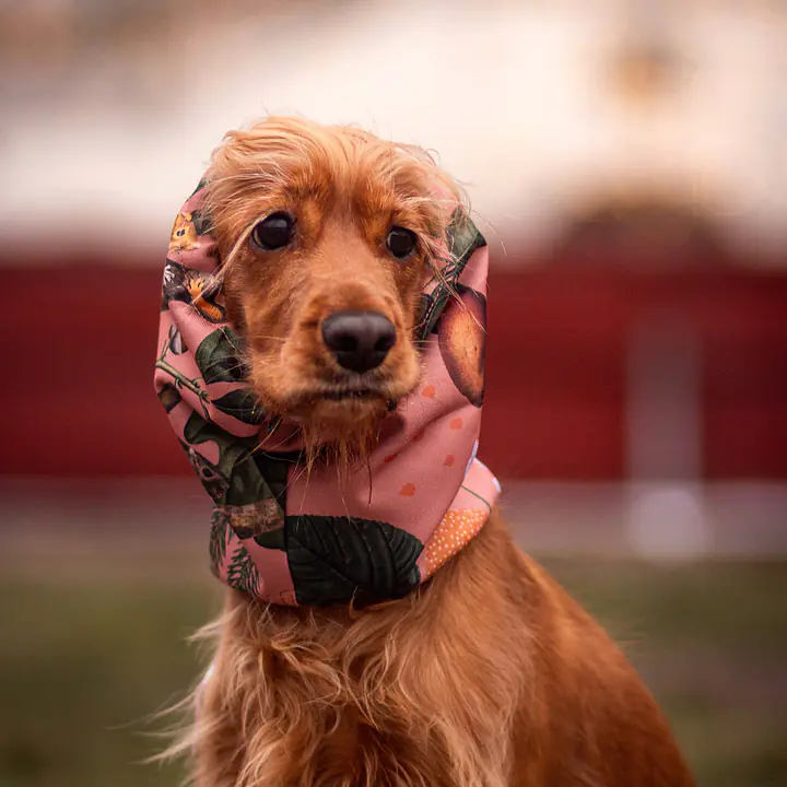 Snood / komin - Master