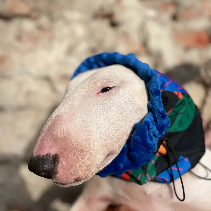 Snood / komin - Master