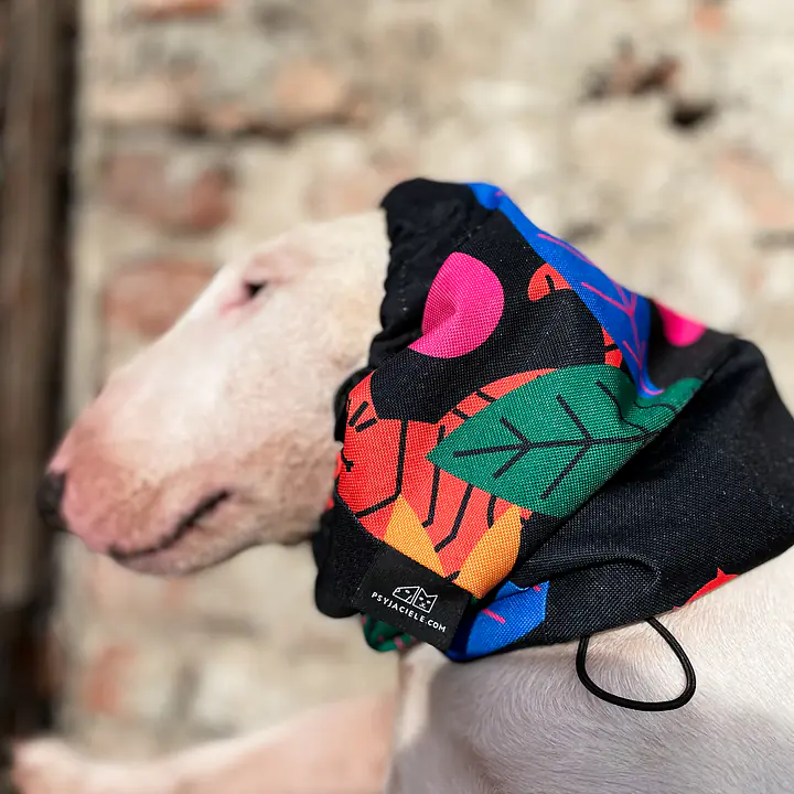 Snood / komin - Master