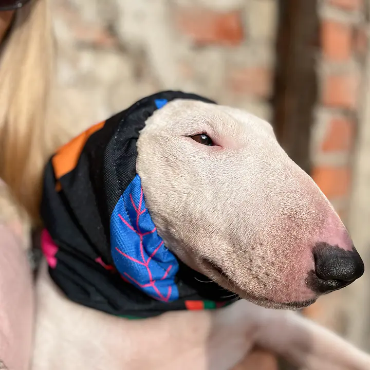 Snood / komin - Master