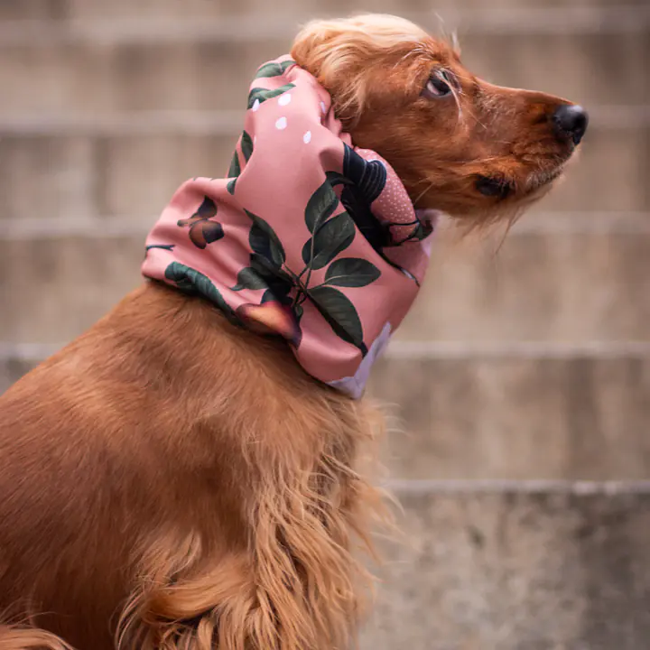 Snood / komin - Master