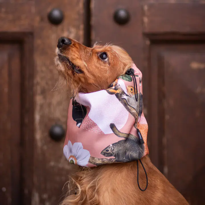 Snood / komin - Master