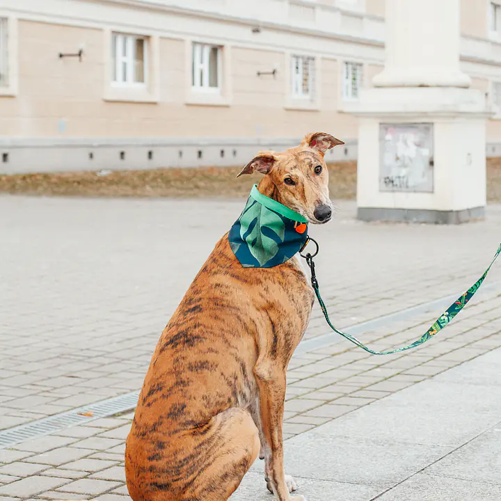 Bandana zapinana na rzep - Master