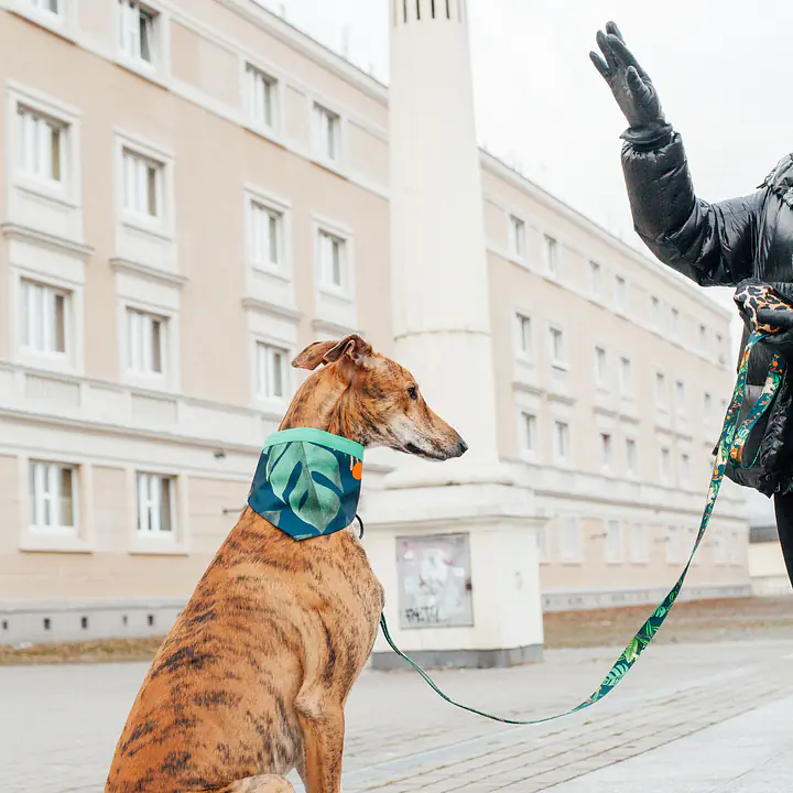 Bandana zapinana na rzep - Master