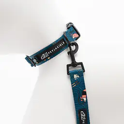 COPY OF Dog or cat collar "Doggomaki" - Master