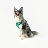 Dog or cat pressure free harness "Sleepy dogs"  - Master