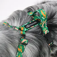 Dog or cat pressure free harness "Sleepy dogs"  - Master