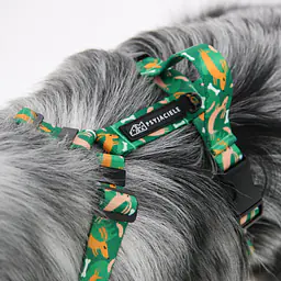 Szelki bezuciskowe dla psa lub kota "Psy na jawie" - Master