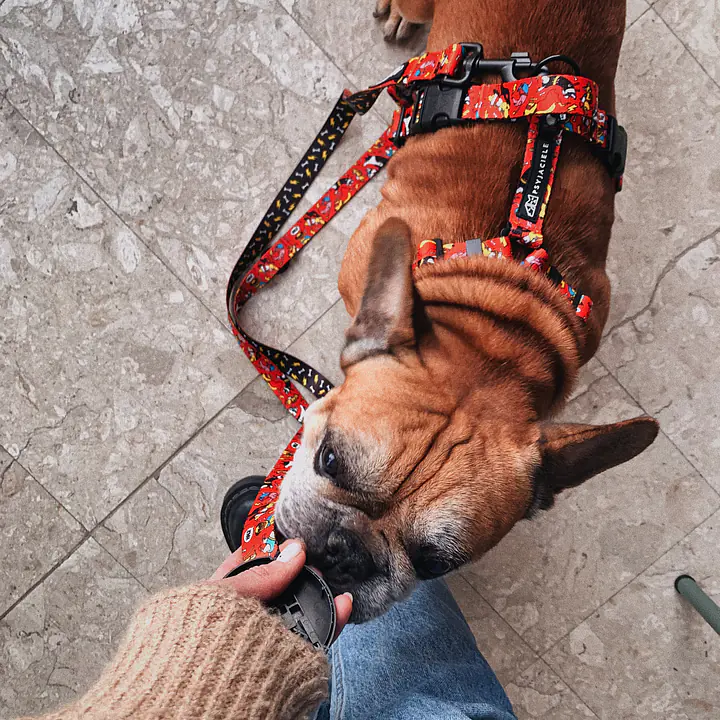 Dog or cat pressure free harness "Woof for the better world"  - Master