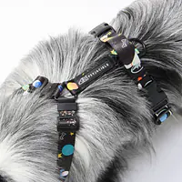 "I need space" pressure-free harness - Master