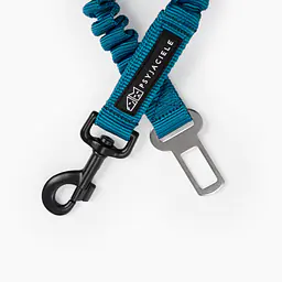 "Turquoise AF" car belts with shock absorber - Master